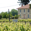 Lou Pey Nat (100% Sémillon) 2023